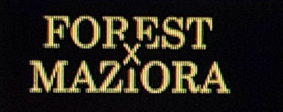Forest Pal Maziora in 2,5 gr. - Farbe: 001 - Purple / Gold