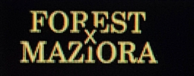 Forest Pal Maziora in 2,5 gr. - Farbe: 010 - Black