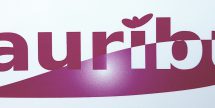 Sauribu Shaath Forellenblinker aus Japan in 2,3 gr. - Farbe: SP004