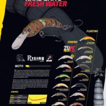 NEUHEIT 2019 - MOTH Crankbait sinkend zum Forellenangeln Farbe: Pink