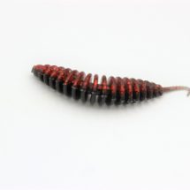 ProBaits Custom Lures Troutworm Mega Soft / Käse- Flavour In 6,5cm Länge / Farbe: Black Red