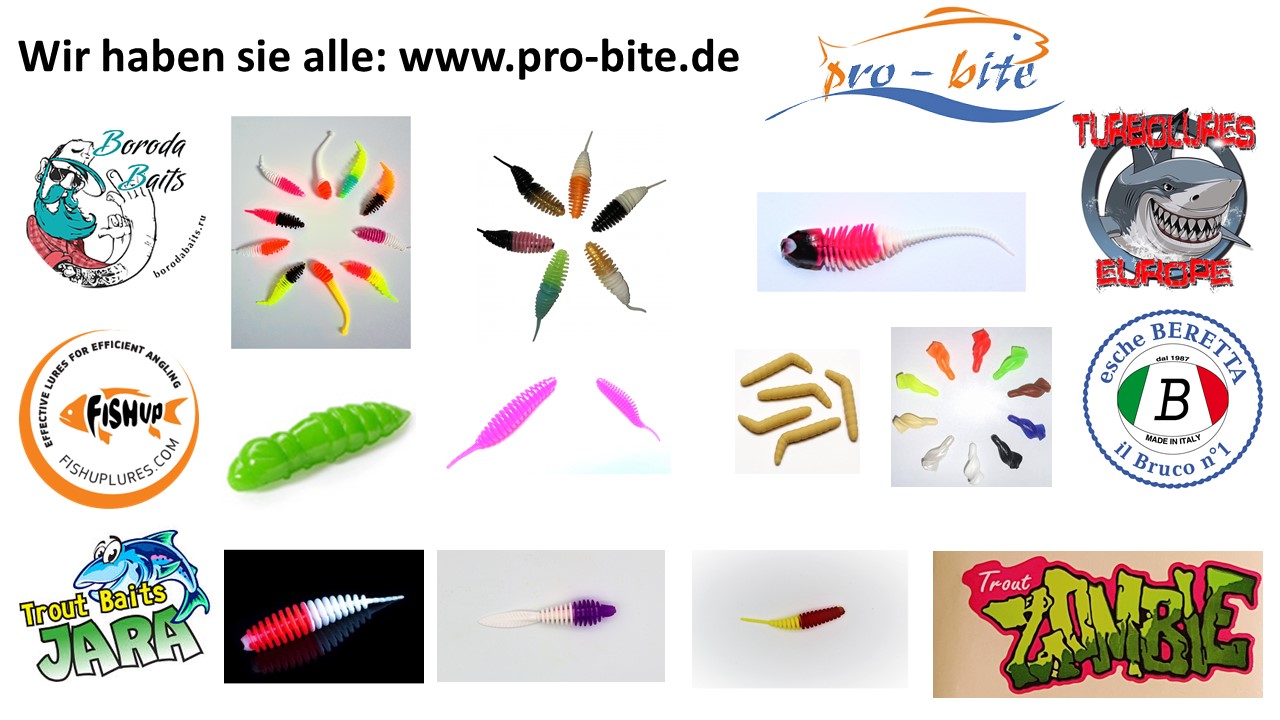 Modernes Forellenangeln