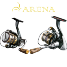 REELarena263x260-5970a5791f008