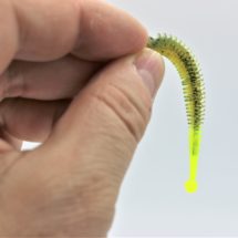 Aroma//Inhalt // Larva//Mixed Color in K/äse 14 Gummik/öder Boroda Baits Softbait Ayra Jr
