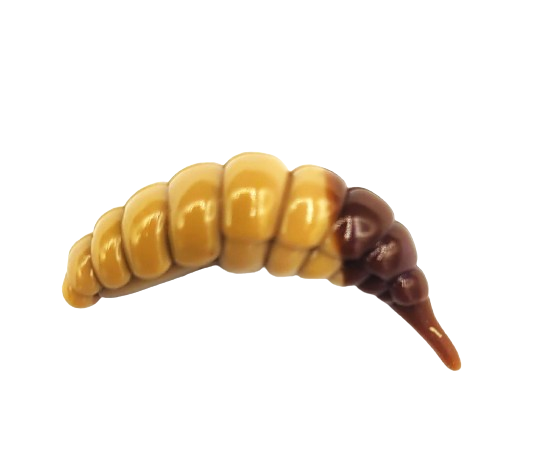 FishUp Ozi 1.2 Bienenmadenimitat | Käsearoma – Softbait Für Forelle Und Barsch In 3 Cm – Farbe: Coffee Milk / Earthworm